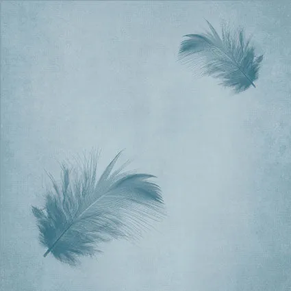 Rug Feather